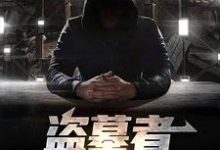 盗墓者:消失的爸爸小说无弹窗阅读的网站推荐-乐读文学