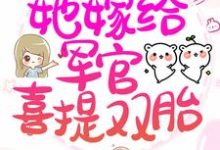 许白棉贺钧川为主角的小说好看吗?求拒绝当后妈,她嫁给军官喜提双胎免费试读-乐读文学