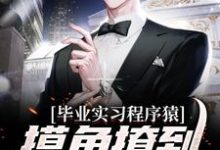 毕业实习程序猿,摸鱼撩到豪门千金陆管,毕业实习程序猿,摸鱼撩到豪门千金章节在线阅读-乐读文学