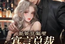 陈嫚是哪本书的主角?娇娇住隔壁,寡言总裁笑不拢嘴免费读-乐读文学
