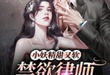 赫泓峥苏茗薇小说在哪里可以看-乐读文学