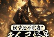 主角陆沧洲牧舒远小说侯爷还不哄妻?夫人已经是京城首富了免费阅读-乐读文学