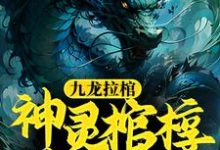 小说《九龙拉棺:神灵棺椁葬仙躯》在线章节阅读-乐读文学