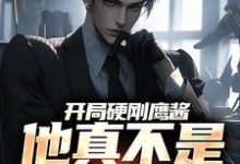 在线搜索唐辰沈玉颜的完整小说,免费阅读开局硬刚鹰酱,他真不是馋光刻机-乐读文学