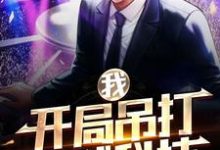 何小苗林洛为主角的小说叫什么?免费看我,开局吊打全球科技-乐读文学