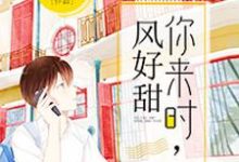 已完结小说《你来时,风好甜》章节免费阅读-乐读文学