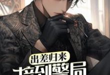 出差归来,接到警局电话赎老婆王昊,出差归来,接到警局电话赎老婆在线无弹窗阅读-乐读文学