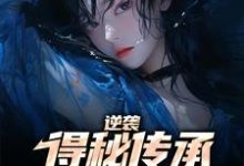 逆袭:得秘传承反杀心机女小说完结版章节免费阅读-乐读文学