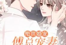 绝世婚宠:傅总宠妻超甜小说,绝世婚宠:傅总宠妻超甜章节在线阅读-乐读文学