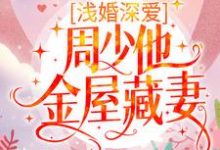 免费阅读楚颜周苏城为主角的小说,浅婚深爱:周少他金屋藏妻在线看-乐读文学