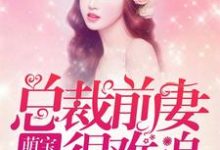 完结版《萌娃归来:总裁前妻很难追》在线免费阅读-乐读文学