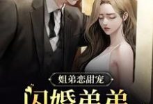 姐弟恋甜宠!闪婚弟弟又乖又会撩小说的无弹窗阅读体验,寻找免费阅读网站-乐读文学