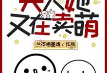 曲寻儿阆琊沈淮引小说《报告!夫人她又在卖萌》在线阅读-乐读文学