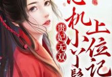 贵妃无双:心机小丫鬟上位记小说的免费电子版在哪里可以下载或阅读?-乐读文学