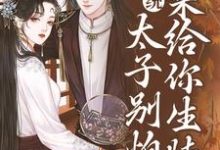 系统:太子别怕,我来给你生娃了许锦意小说在线章节免费阅读-乐读文学