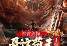 在线寻找林枫的小说,神霄剑修:哥这苟王手握七剑成最强免费阅读-乐读文学