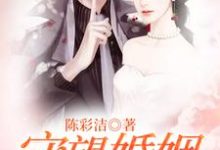《守望婚姻》小说主角陈彩洁菊花章节章节免费在线阅读-乐读文学