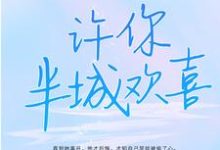 已完结小说《许你半城欢喜》在线章节阅读-乐读文学