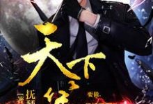 天下第一这本小说怎么样?免费在线阅读试试-乐读文学