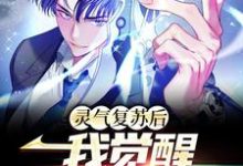 楚明小说《灵气复苏后,我觉醒S级天赋》在线阅读-乐读文学