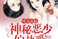 小说《嗜宠成瘾:神秘恶少偏执爱》章节免费阅读-乐读文学