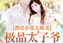 傅随黎染小说在哪里可以看-乐读文学