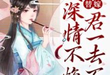 小说《替嫁:妾深情不悔,君一去不回》在线章节阅读-乐读文学