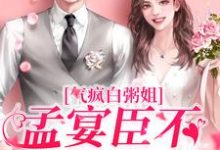 孟宴臣薛杉杉为主角的小说气疯白粥姐,孟宴臣不当舔狗了在线阅读-乐读文学