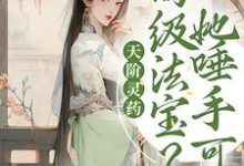 求推荐可以免费阅读天阶灵药?高级法宝?她唾手可得小说的网站-乐读文学