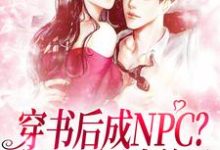 男女主人公仇九九颜琛小说穿书后成NPC?我天天调戏美男章节免费阅读-乐读文学