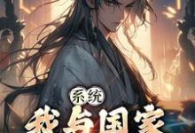 《系统:我与国家共享气运》小说章节列表免费试读,赵风小说在线阅读-乐读文学