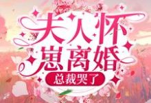 小说《夫人怀崽离婚，总裁哭了》章节免费阅读-乐读文学