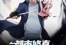 秦守柳盈盈的小说在哪里看?免费在线阅读都市修真:道士下山要入世-乐读文学
