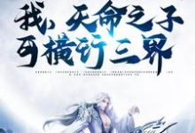 叶时安小说《我,天命之子,可横行三界》在线阅读-乐读文学