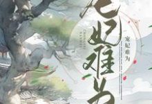 宠妃难为苏婉傅明渊在线章节免费阅读-乐读文学