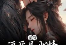 求婉卿胤禛小说免费资源-乐读文学