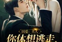 囚爱:夫人,你休想逃走我的手掌心这本小说在哪里可以看?哪里有免费试读章节?-乐读文学