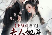 王爷别虐了,夫人她是嫡长公主!这本小说怎么样?免费在线阅读试试-乐读文学
