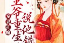 寻找宠妻狂魔:王爷重生后说他错了小说的最新更新章节-乐读文学