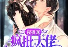 夜夜宠,疯批大佬霸道撩妻小说,夜夜宠,疯批大佬霸道撩妻秦衍慕瓷-乐读文学
