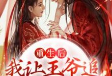 已完结小说《重生后,我让王爷追妻火葬场了》最新章节-乐读文学