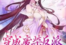 穿成废柴反派,我狂撩女主小说的无弹窗阅读体验,寻找免费阅读网站-乐读文学