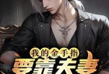 已完结小说《我的金手指要靠夫妻关系打开?》在线章节阅读-乐读文学