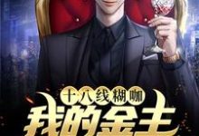 十八线糊咖:我的金主是我小后妈小说全文阅读需要付费吗?寻找免费资源-乐读文学