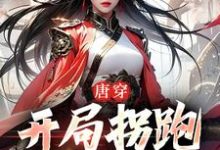 李琩杨玉环小说叫什么(唐穿:开局拐跑杨玉环免费阅读)-乐读文学