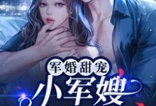 《军婚甜宠:小军嫂又美又娇》小说主角容景辰叶沐栖章节章节免费在线阅读-乐读文学