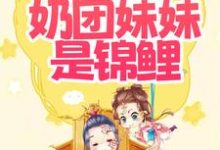 小说《爹娘快看!奶团妹妹是锦鲤!》在线章节阅读-乐读文学