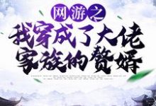 网游之我穿成了大佬家族的赘婿这本小说在哪里可以看?哪里有免费试读章节?-乐读文学