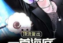 完结版《顶流复出,一首海底唱哭全网》免费阅读-乐读文学