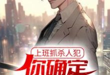 上班抓杀人犯,你确定他是交警?小说的免费阅读版本在哪里可以找到?-乐读文学